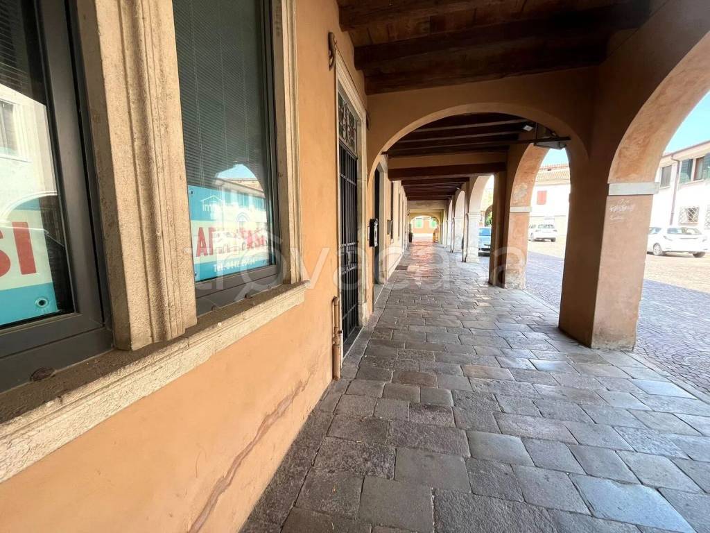 immagine annuncio 2 di 14