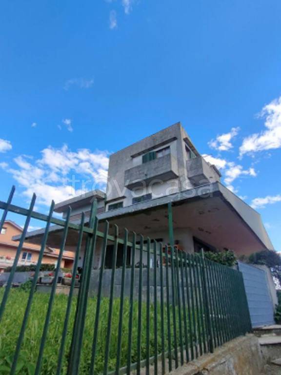 immagine annuncio 2 di 12