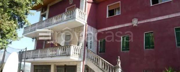 immagine annuncio 1 di 13