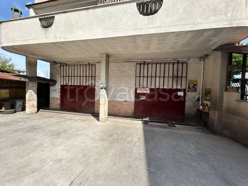 immagine annuncio 12 di 13