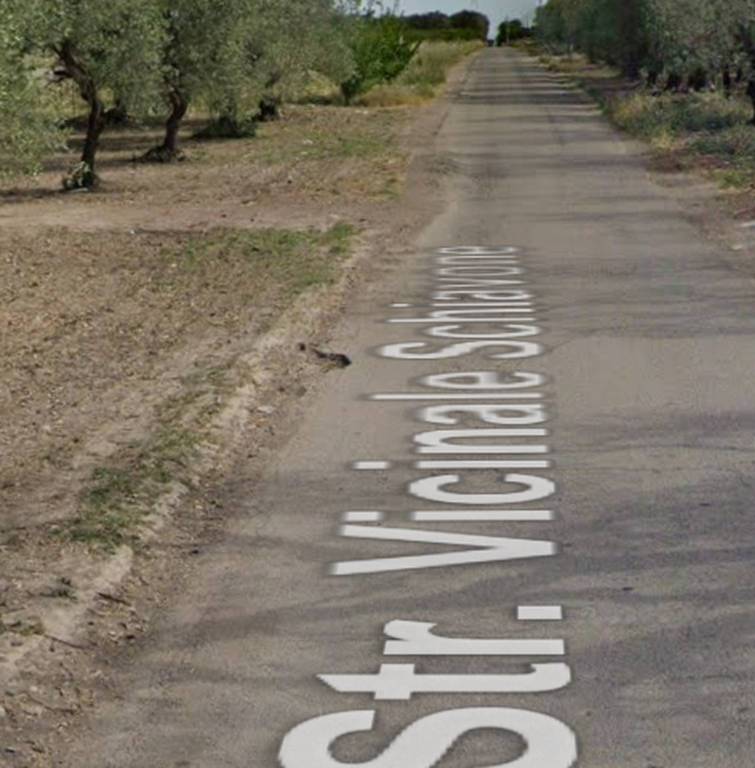 immagine annuncio 7 di 10