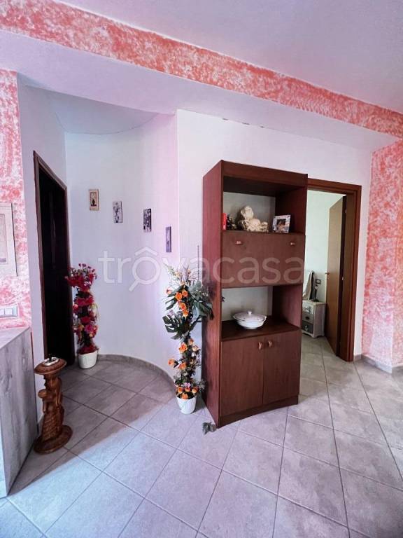 immagine annuncio 6 di 14