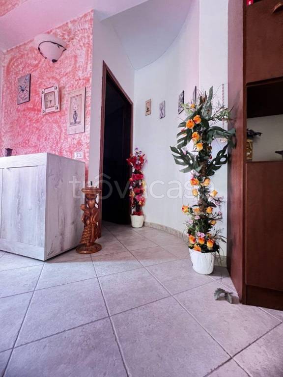 immagine annuncio 5 di 14