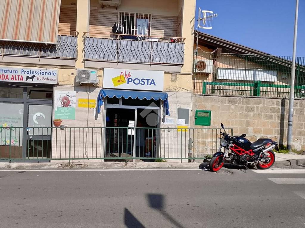 immagine annuncio 7 di 10