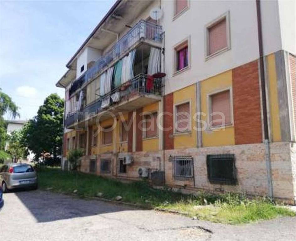 immagine annuncio 1 di 14