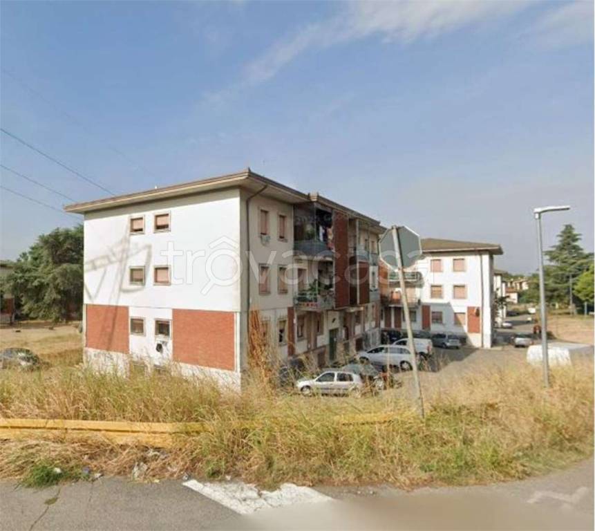 immagine annuncio 7 di 14