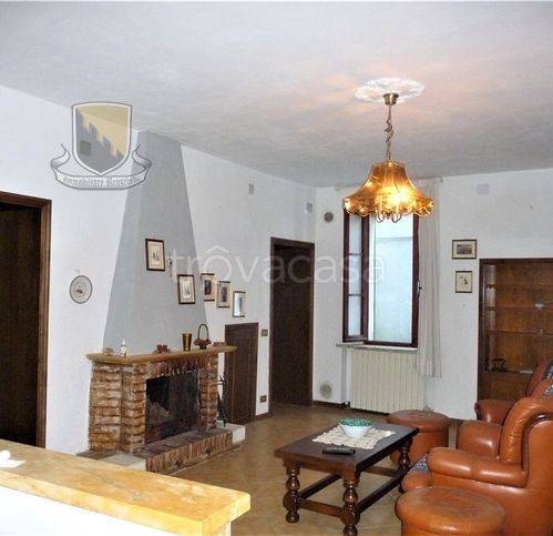 immagine annuncio 3 di 14