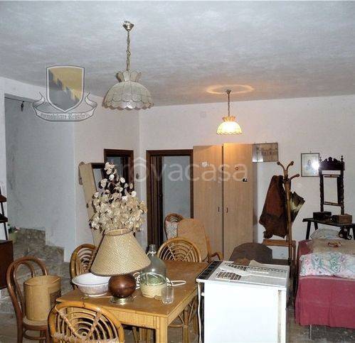 immagine annuncio 12 di 14