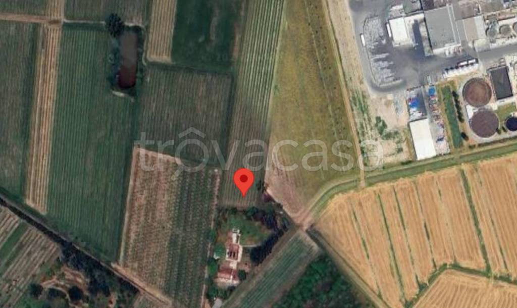 immagine annuncio 2 di 11