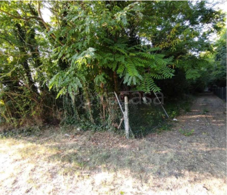 immagine annuncio 3 di 12