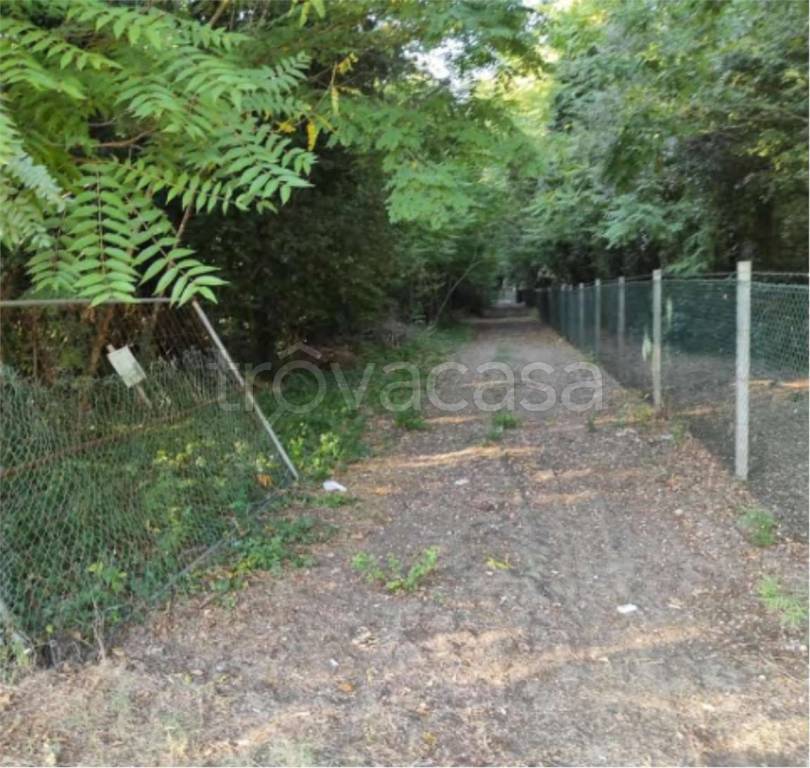 immagine annuncio 4 di 12