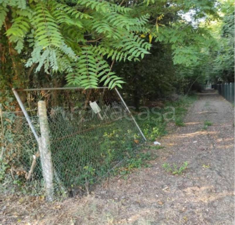 immagine annuncio 5 di 12