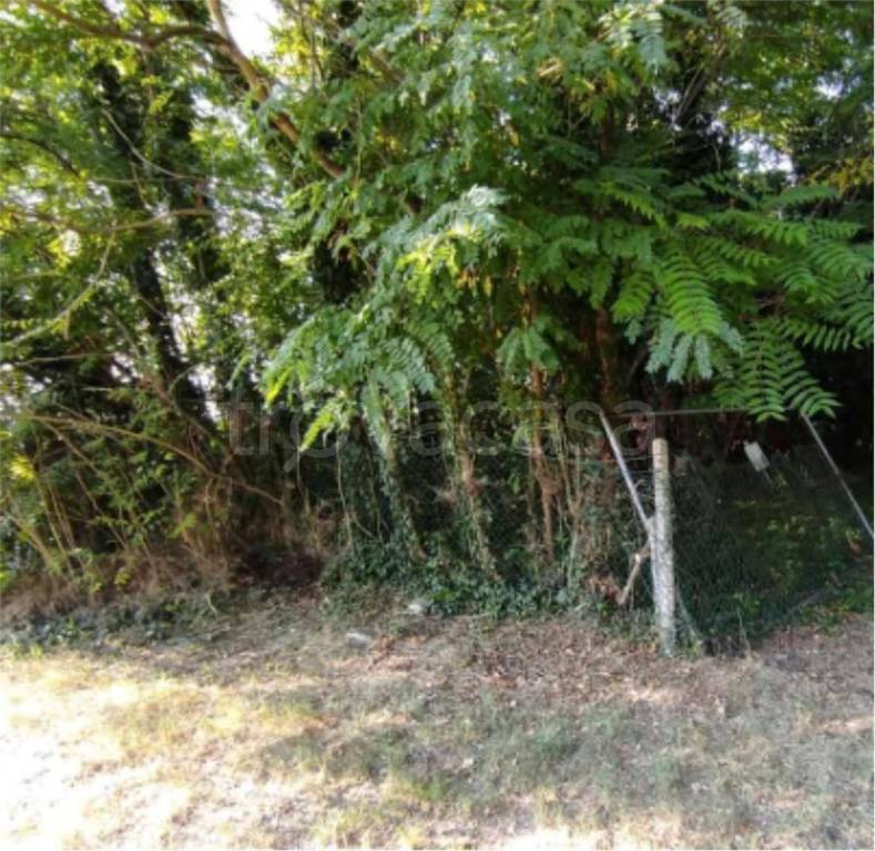 immagine annuncio 6 di 12