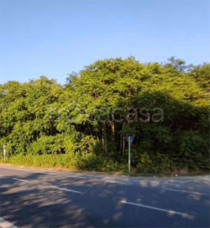 immagine annuncio 7 di 12