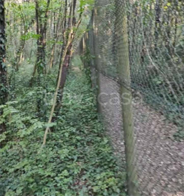 immagine annuncio 9 di 12