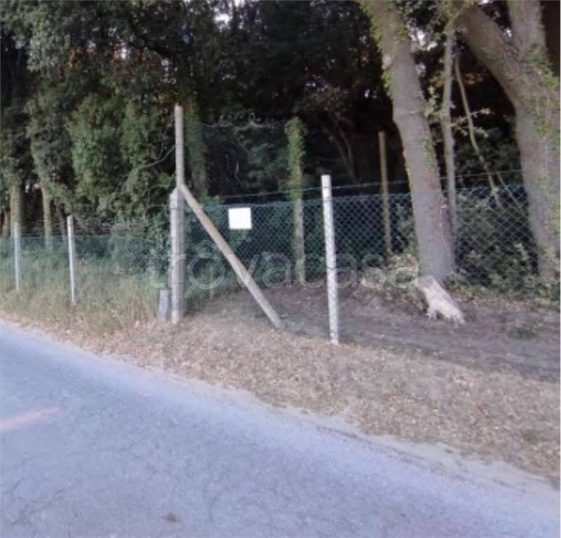 immagine annuncio 11 di 12