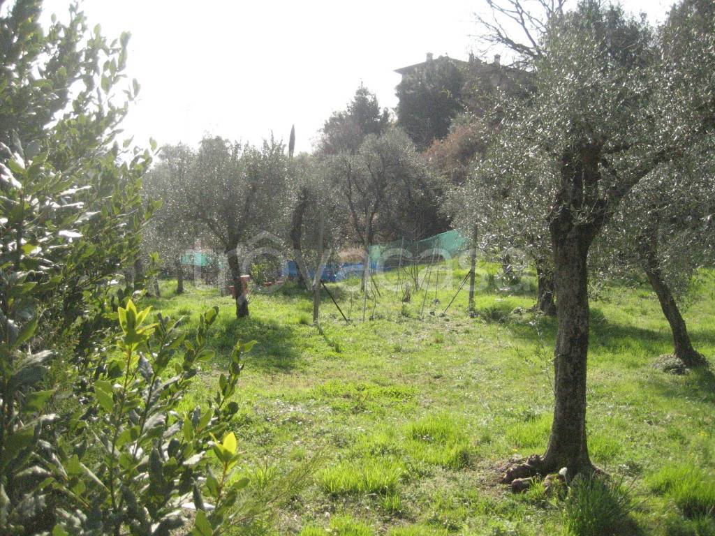 immagine annuncio 3 di 11