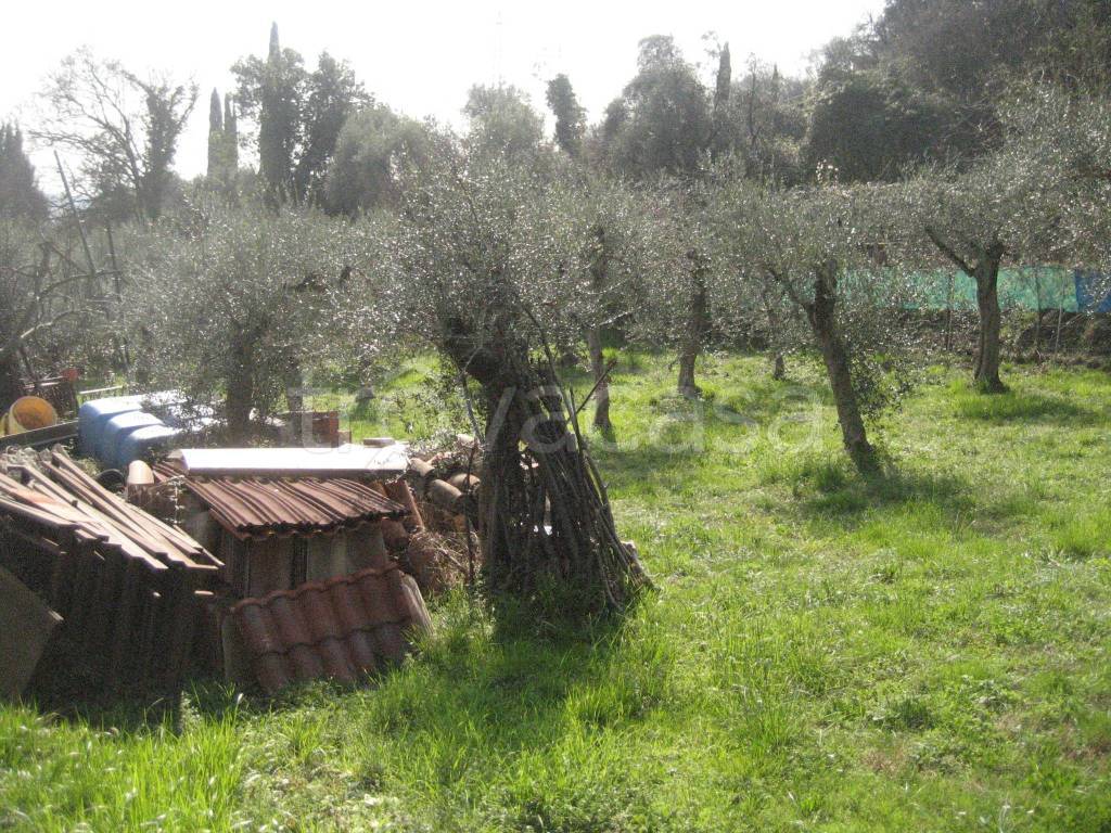 immagine annuncio 5 di 11