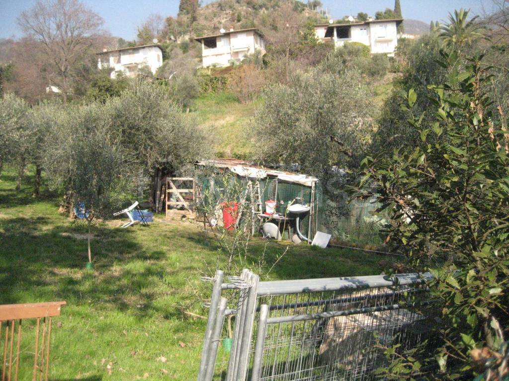 immagine annuncio 7 di 11