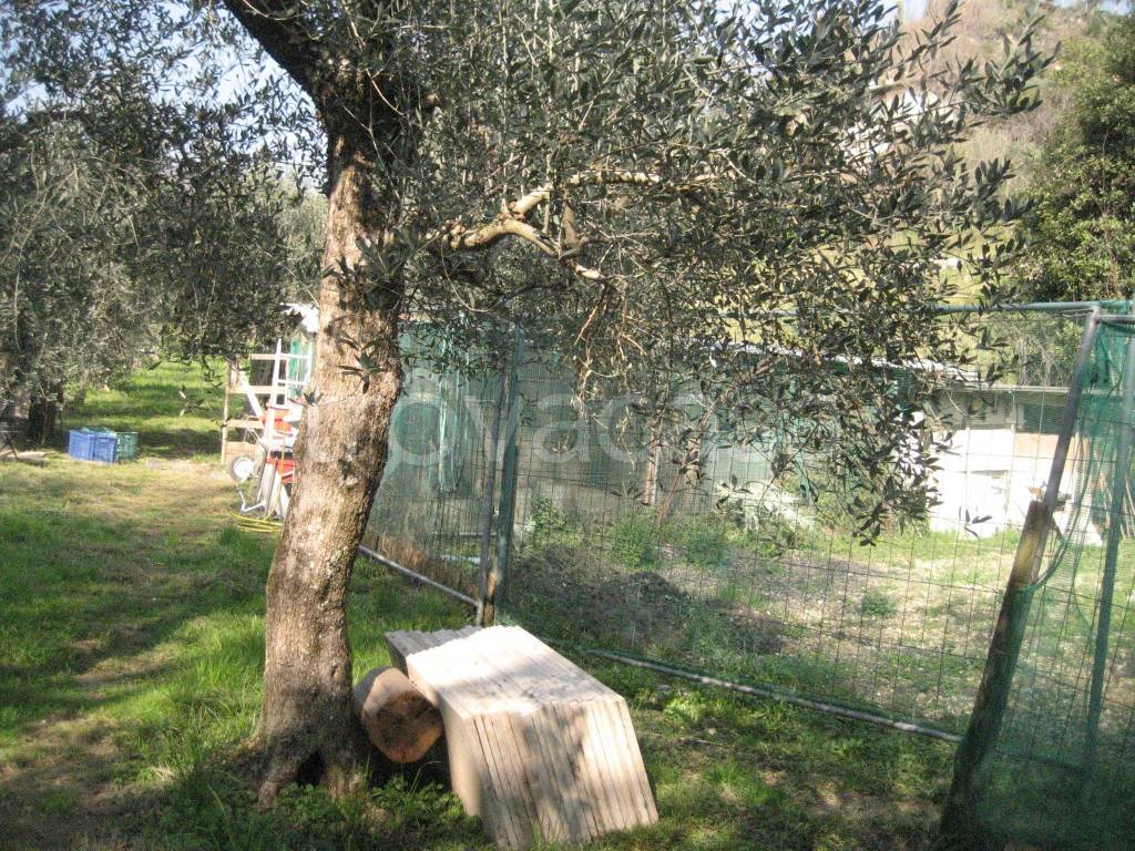 immagine annuncio 10 di 11