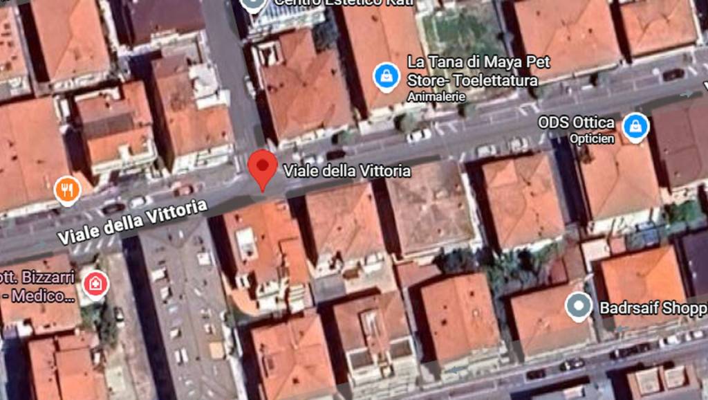 immagine annuncio 3 di 11