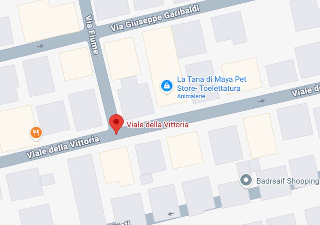 immagine annuncio 4 di 11