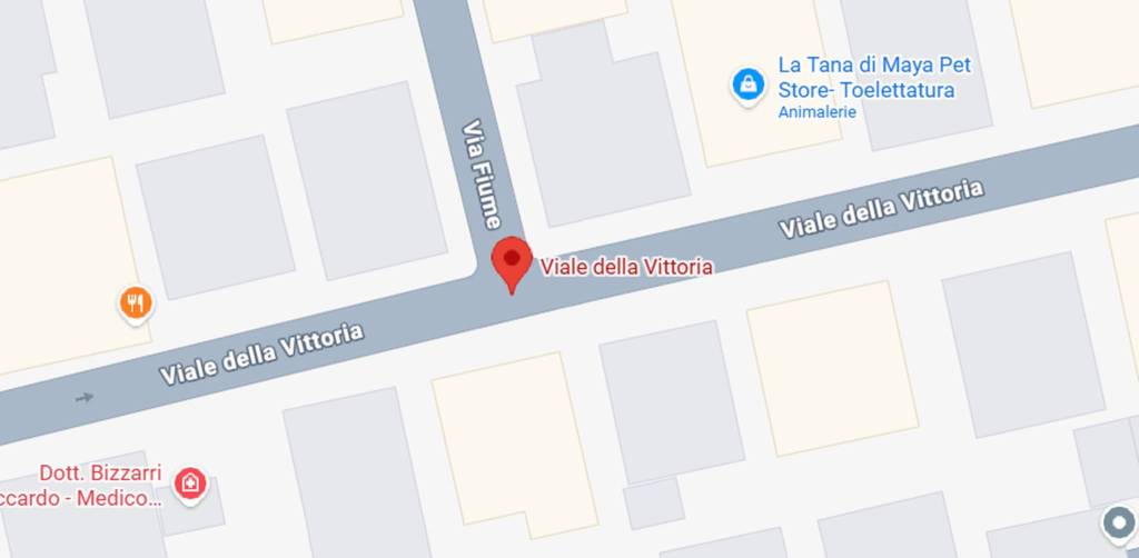 immagine annuncio 5 di 11