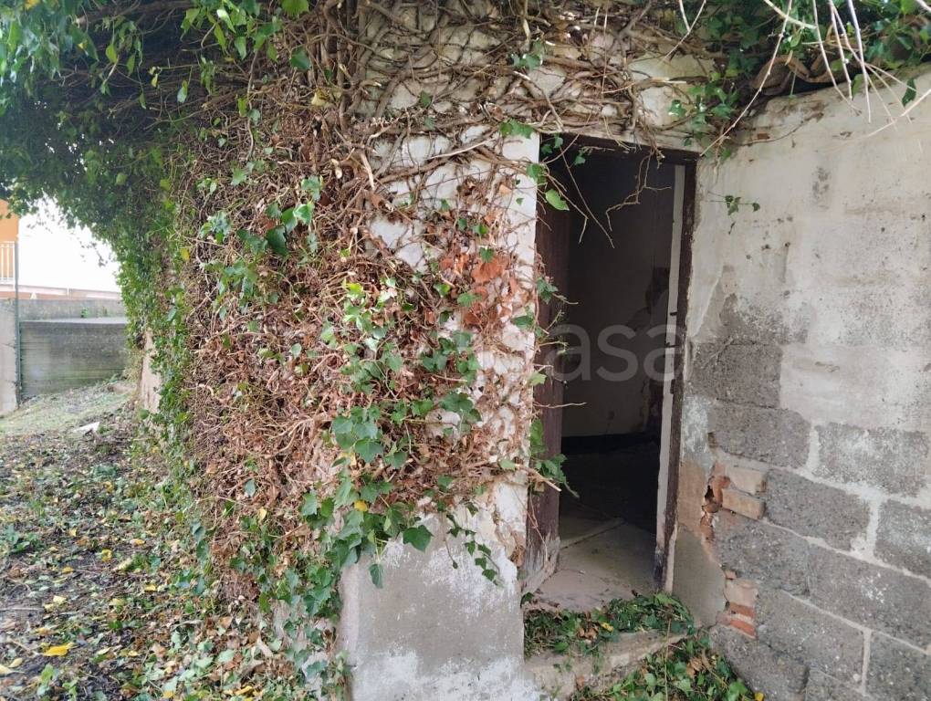 immagine annuncio 2 di 12