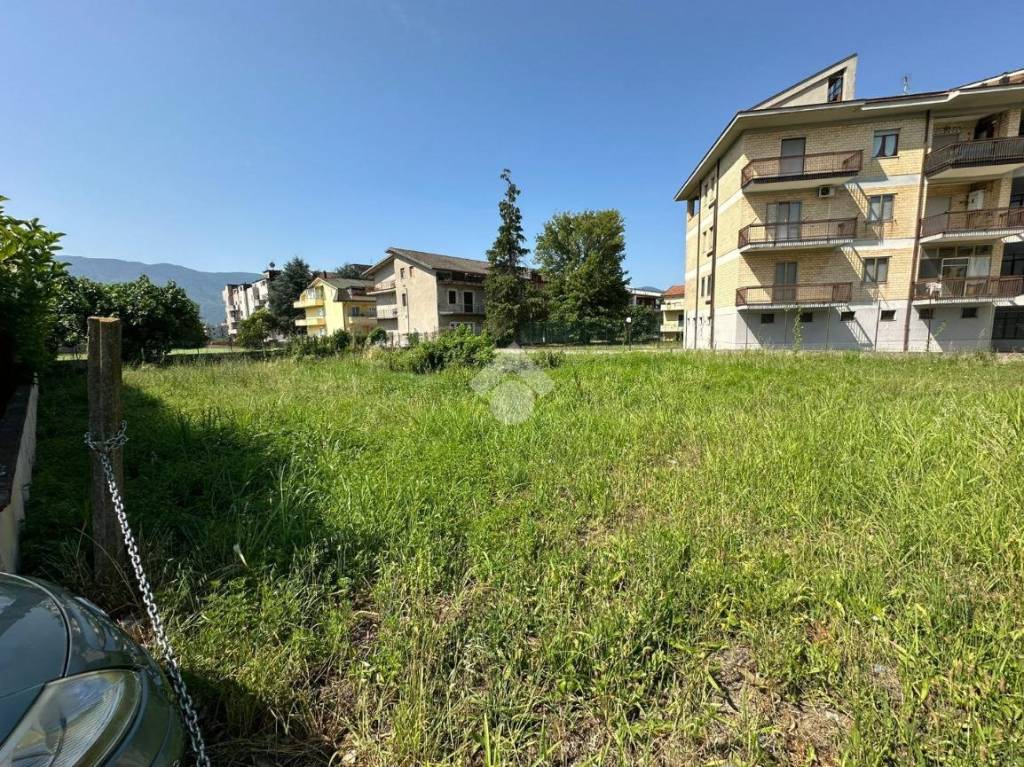 immagine annuncio 1 di 13