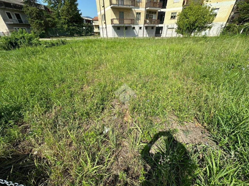 immagine annuncio 2 di 13