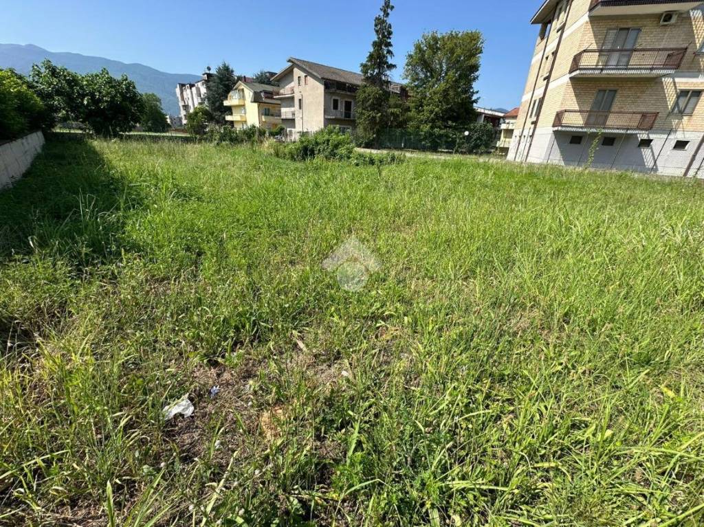 immagine annuncio 12 di 13