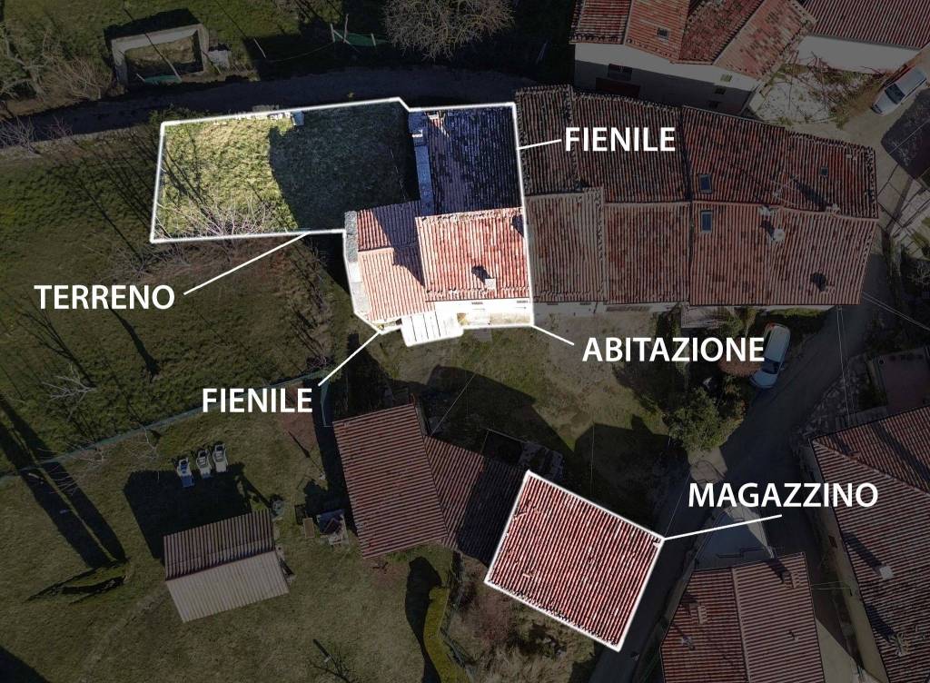 immagine annuncio 4 di 7
