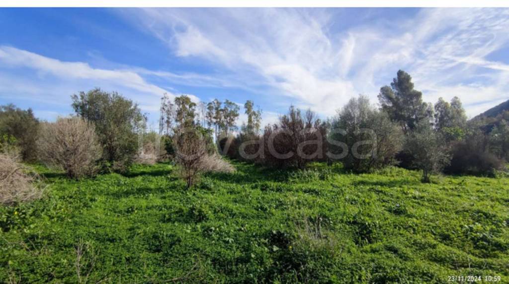 immagine annuncio 5 di 11