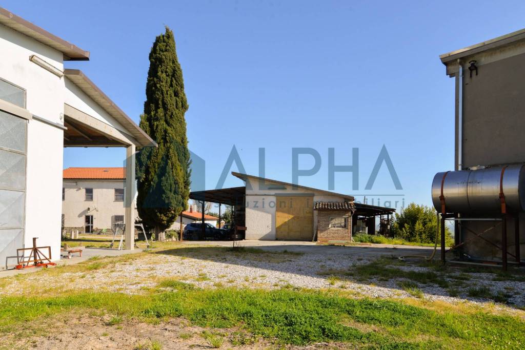 immagine annuncio 4 di 13