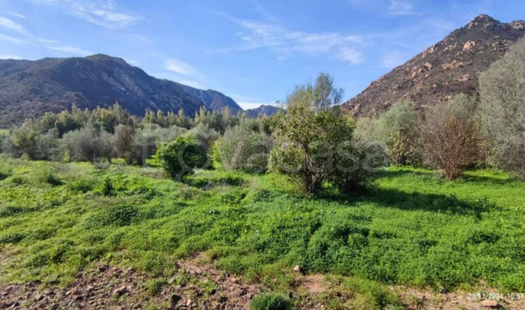 immagine annuncio 7 di 11