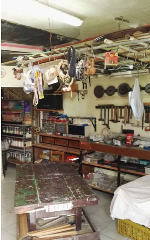 immagine annuncio 1 di 11