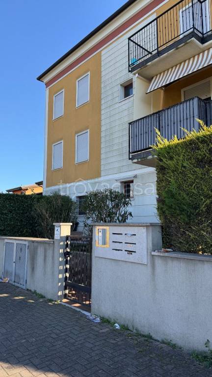 immagine annuncio 1 di 12