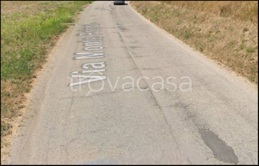 immagine annuncio 3 di 12