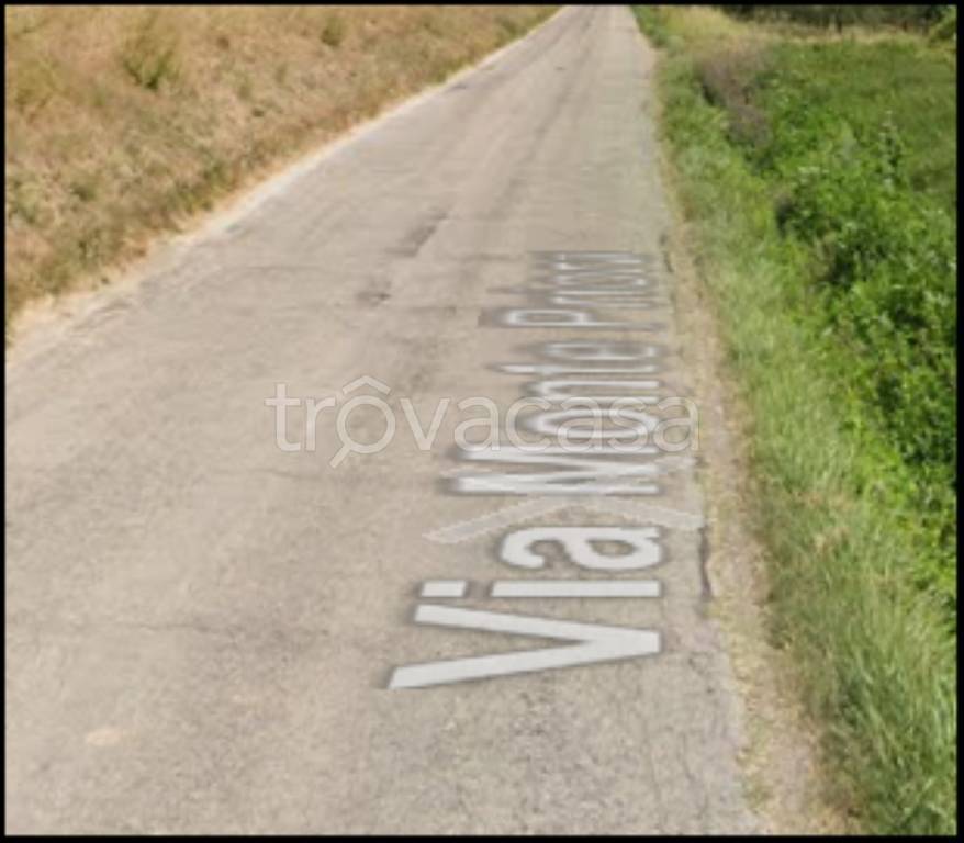 immagine annuncio 5 di 12