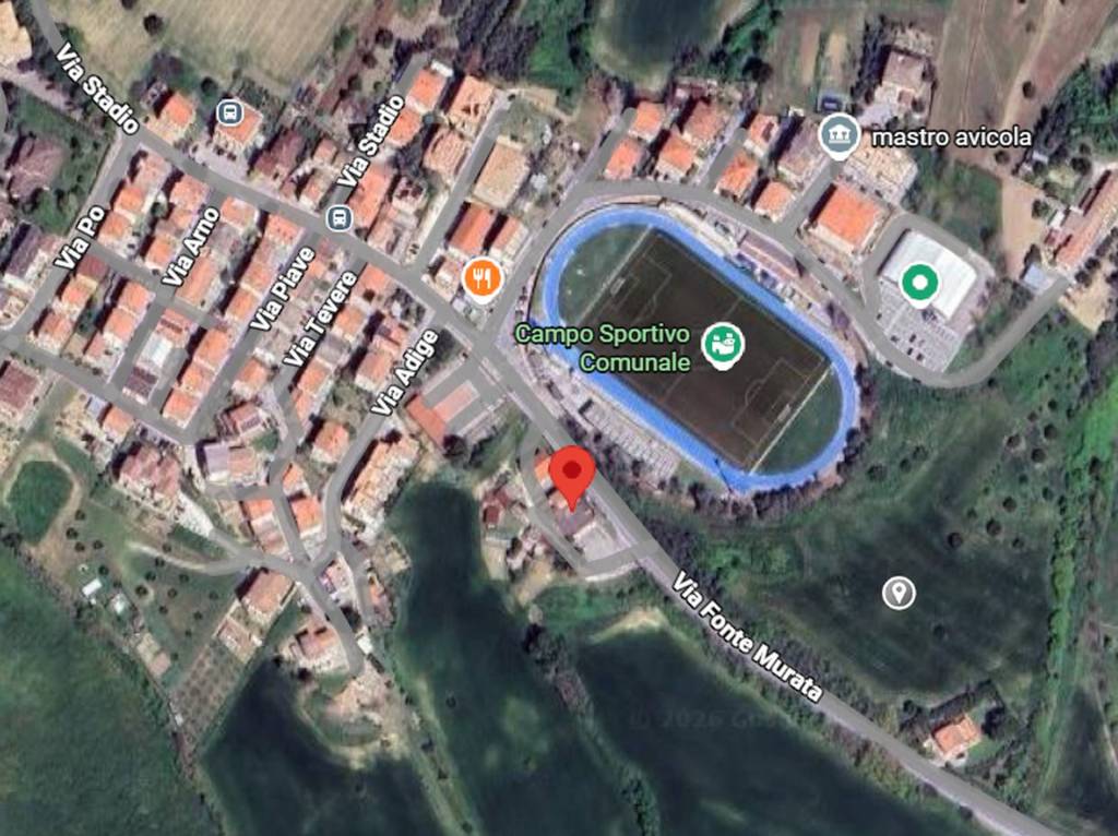 immagine annuncio 5 di 11