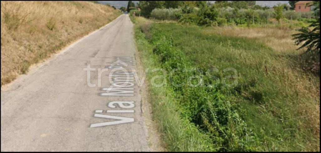 immagine annuncio 9 di 12