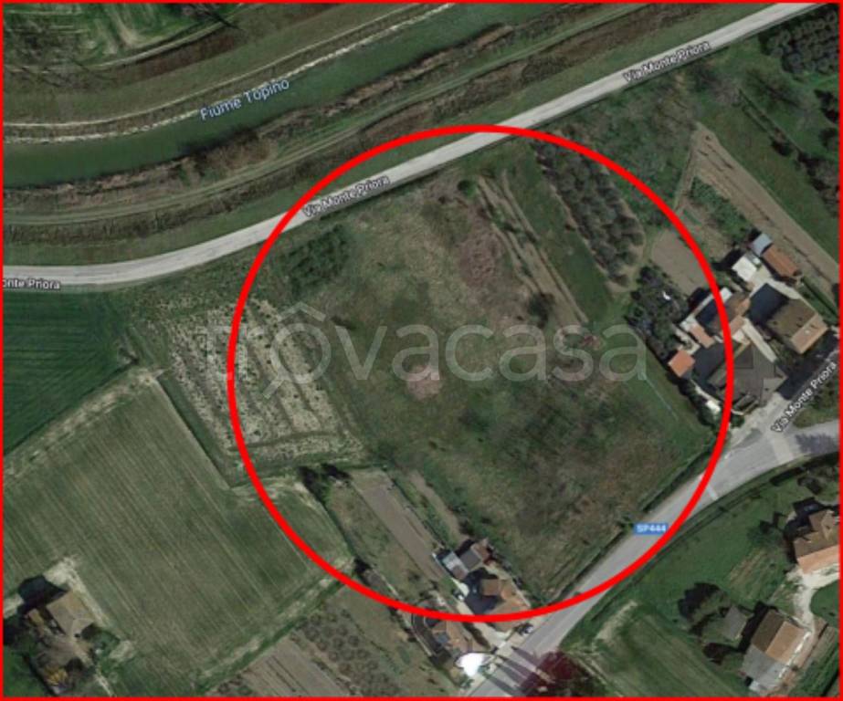 immagine annuncio 11 di 12