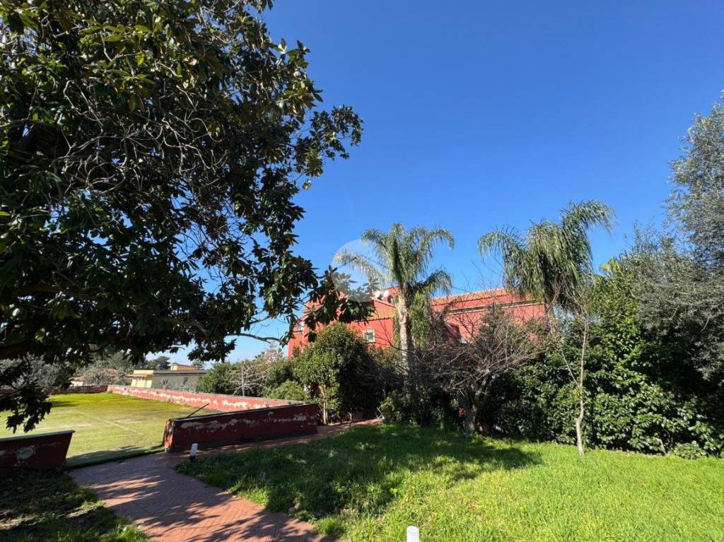 immagine annuncio 8 di 14