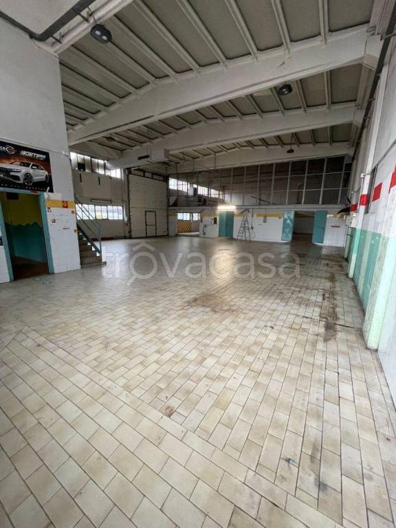 immagine annuncio 5 di 15