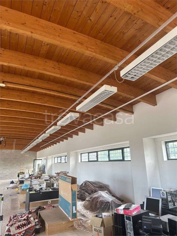 immagine annuncio 3 di 12