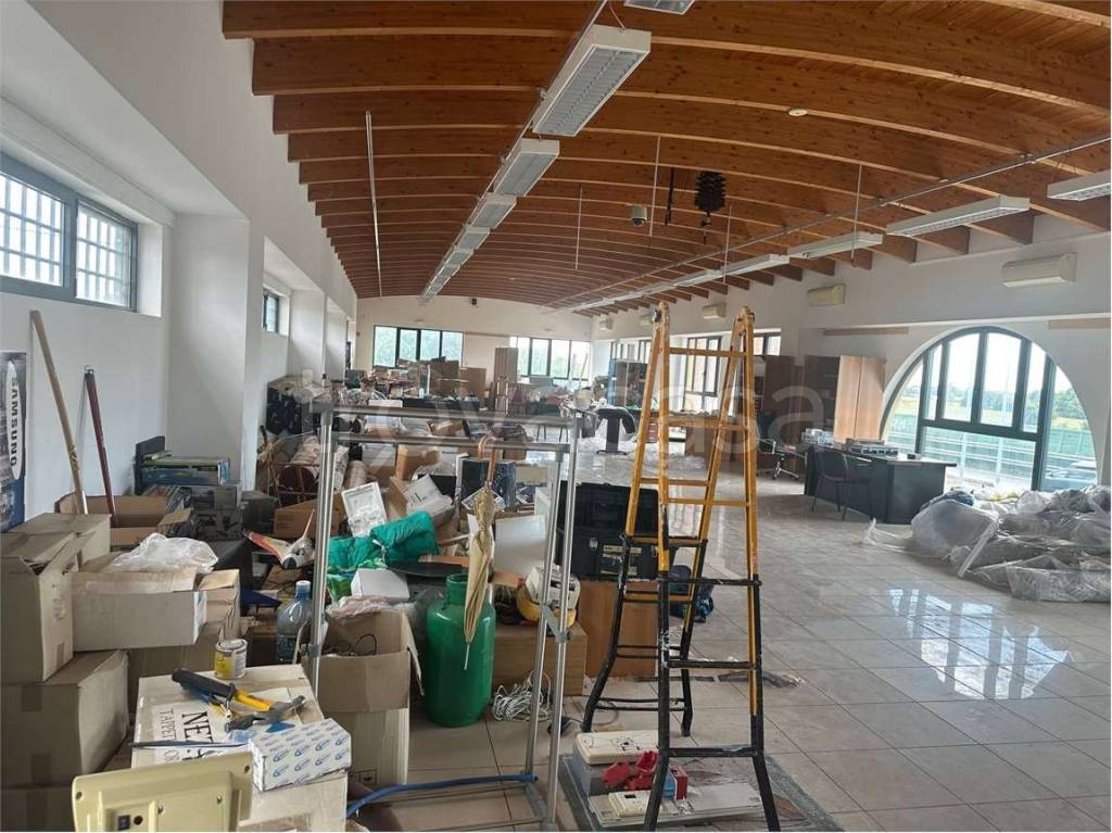 immagine annuncio 6 di 12