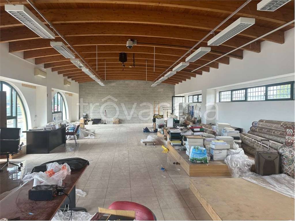 immagine annuncio 8 di 12