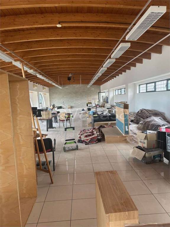 immagine annuncio 10 di 12