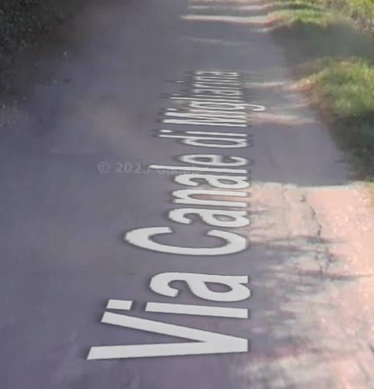 immagine annuncio 1 di 12