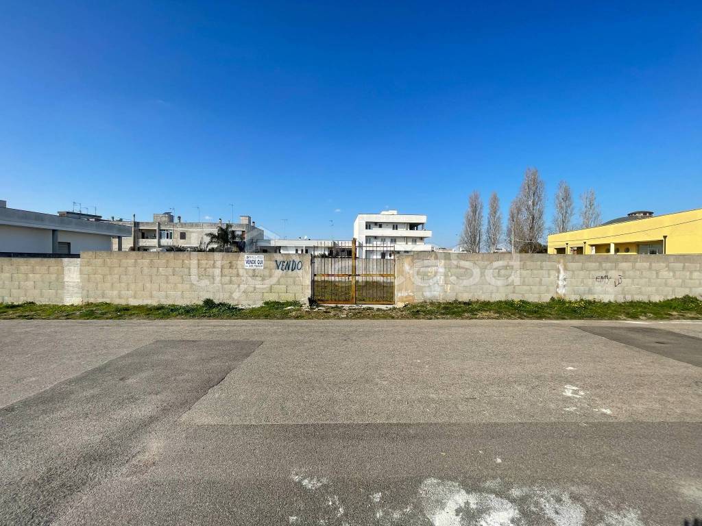 immagine annuncio 2 di 7